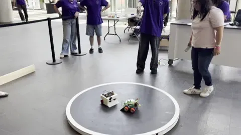 Fighting Sumobot